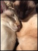 2018 Tonkyway Aurora aged 7 with son Oscar